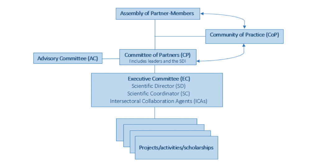 Organizational structure