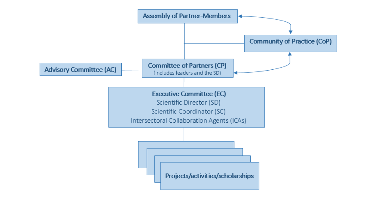 Organizational structure – Inclusive Society